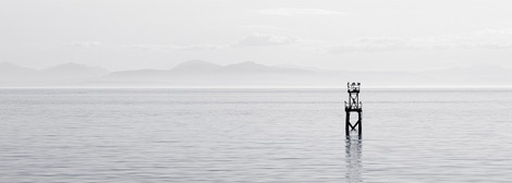 客户管理工具的DDOS攻击