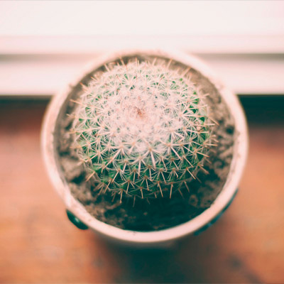 智能提示贴心的网站防ddos攻击